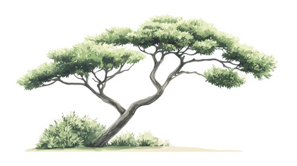 Obraz premium Lush Green Foliage of Perfect Tree with Nice Sky