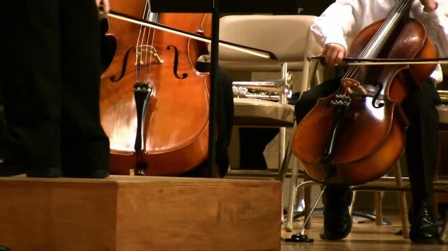 Orchestra cello player 