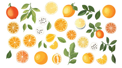 Obraz premium Fresh Orange Fruit Vector with Leaf Isolated on White Background