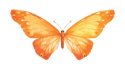 Vibrant Orange Wing Vector Illustration Isolated on White Background