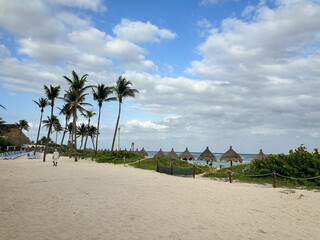 tropical beach with palm trees