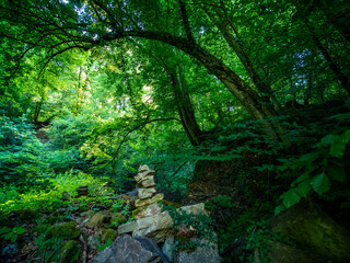 Steinmännchen im Wald