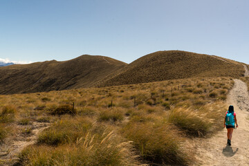 Rear view of hiker enjoying the  views of lake Hawea from the Isthmus track walkway