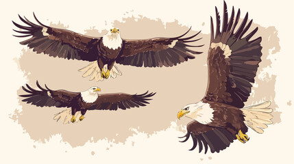 Vintage Beautiful Flying Eagles Vector Set