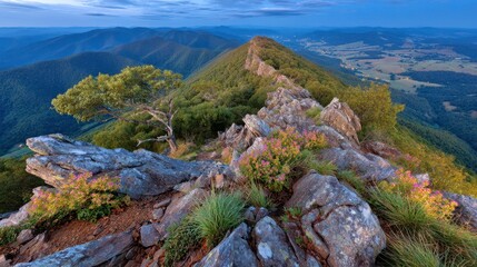Obraz premium Scenic Mountain Landscape View with Ridge, Flowers and Layers of Hills. Travel destination for hiking and outdoor adventure.