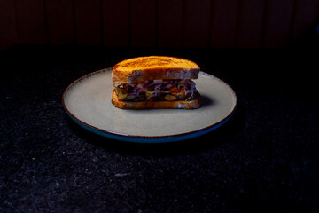 A beautifully presented gourmet sandwich sits on a rustic plate, ready to eat.
