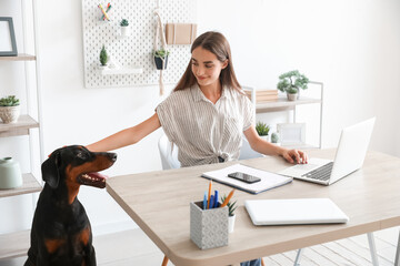 Cute Doberman dog and beautiful young happy woman working with laptop at home