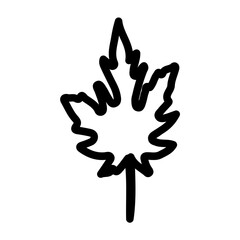 Leaf icon