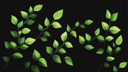 Vibrant Green Leaves on Transparent Plant Against Black Background