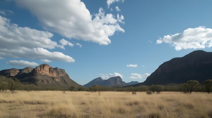Vast Australian Outback Landscape: Golden Grasslands and Majestic Mountains Under Blue Sky