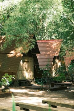 Beautiful small wooden house or wooden huts, near bamboo forest. Rest and relax concept