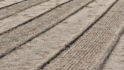 Raked sand paths outdoor in a Japanese Zen garden at daytime at the Higashiyama Jisho-ji temple in Kyoto in Japan with space for text.