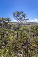 Mirante na cidade de Teresina de Goiás, Estado de Goiás, região da Chapada dos Veadeiros, Brasil