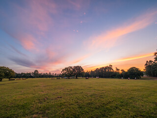 Sunset Over The Field