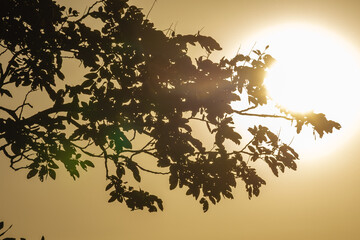 pôr do sol na cidade de Teresina de Goiás, Estado de Goiás, região da Chapada dos Veadeiros, Brasil