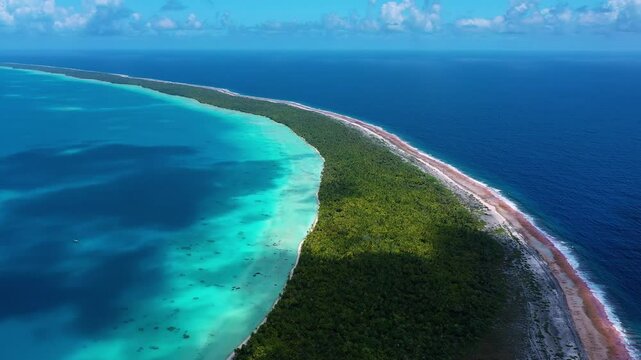 Aerial view of beach and trees on atoll, French Polynesia.