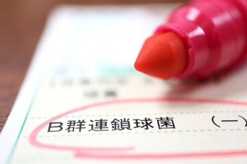 B群連鎖球菌の検査結果書類の一部