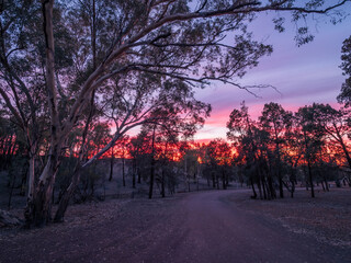 Sunrise Flinders Ranges