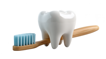 A large white tooth rests on a bamboo toothbrush with blue bristles, isolated on transparent background