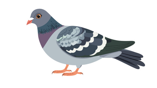 Cute Pigeon Bird Cartoon Character Design in Flat Style
