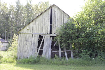Old farm house in wood and abandoned. Ancient barn in a field and in a rural country. Abandoned...