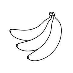Simple vector black and white line art of a banana bunch in minimal style. For fruit, food, tropical, kids, print, coloring page, banner and summer design projects. Hand drawn. Isolated background.