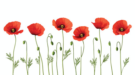Obraz premium Vibrant Red Poppy Flowers Row Vector Illustration
