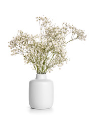 Fototapeta premium Vase with gypsophila flowers isolated on white background