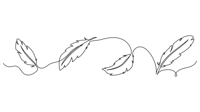 Animated bird feather drawn in one continuous line. Minimalist contour motion symbolizing freedom, air, spirit, and truth. Elegant line animation for nature, calm, boho themes.
