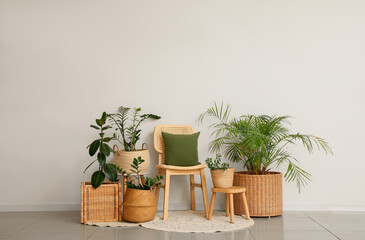 Chair and wicker baskets with houseplants near white wall in interior of room