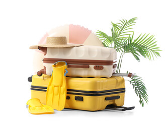 Suitcase with inflatable ring, houseplant and beach accessories isolated on white background