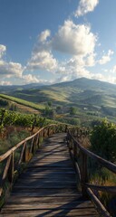 Fototapeta premium Wooden path up hillsides, vineyards, sunny day. Hiking