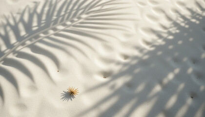 Palm leaf shadow on soft white sand with small dried plant, capturing tropical minimalism, peaceful atmosphere, and natural textures in a calm and sunlit beach environment for background concept
