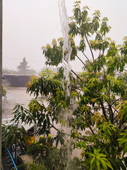 Heavy Rainfall Streaming from Roof Beside Green Tropical Tree in Rainy Weather. Tropical downpour...