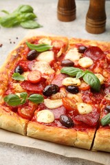 Tasty square homemade pizza and spices on grey background, closeup