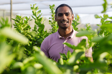 African American man inspecting citrus trees in greenhouse with roof panels and support beams
