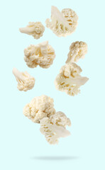 Fresh cauliflower florets falling on light blue background
