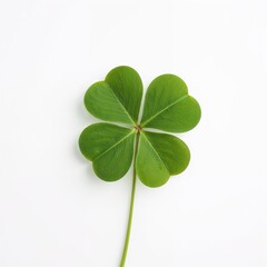 "Nature's Charm: The Vibrant Four-Leaf Clover"