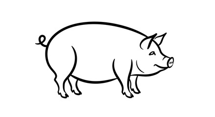 Fototapeta premium Illustration of a pig with a curly tail drawn in black outline style