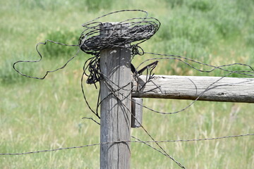 Wooden fence post with barbed wire rolled around top.