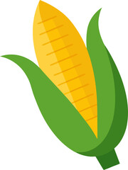 Cutout of ear of corn, white background, clean mask with white background.