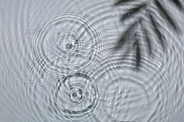 Texture of water drops and shadow of leaves on grey background, closeup
