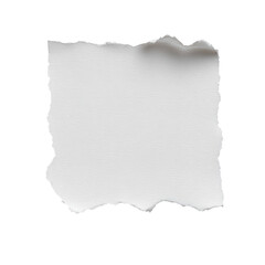 A square of white torn paper with a rough texture is isolated on transparent background