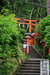 Tori Gates Leading to Forest 