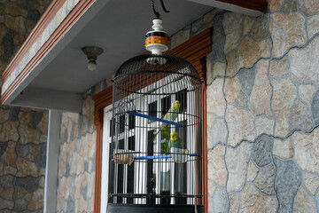 Two vibrant green and yellow parrots perch in a decorative cage hanging in an outdoor setting...
