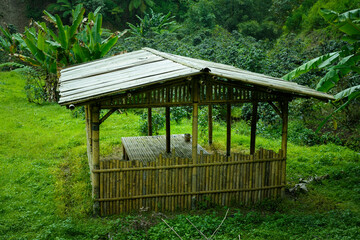 A small open-sided bamboo hut surrounded by green foliage, located in a lush forest environment