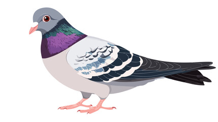 Fototapeta premium Cute Pigeon Bird Cartoon Character Design in Flat Style