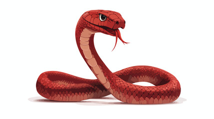 Fototapeta premium Red Cobra Coiled with Raised Hood and Tongue