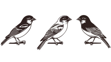 Obraz premium Simple Sparrow Line Art Icon for Elegant Designs