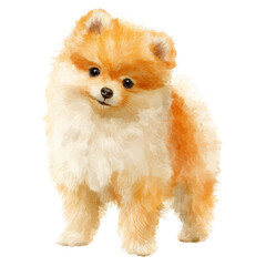Cute fluffy small dog with orange and white fur standing and looking with bright eyes, adorable and friendly expression